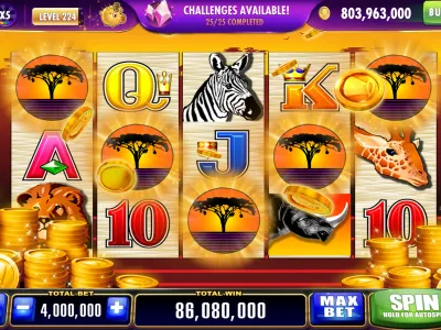 Fast Deposit and Withdrawal Screen screenshot
